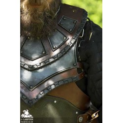 Rogue Neck and Shoulder Armour