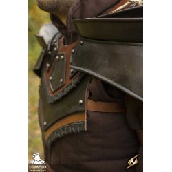 Rogue Neck and Shoulder Armour