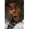 Werewolf Teeth