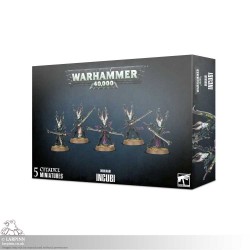 Warhammer 40,000: Drukhari Incubi