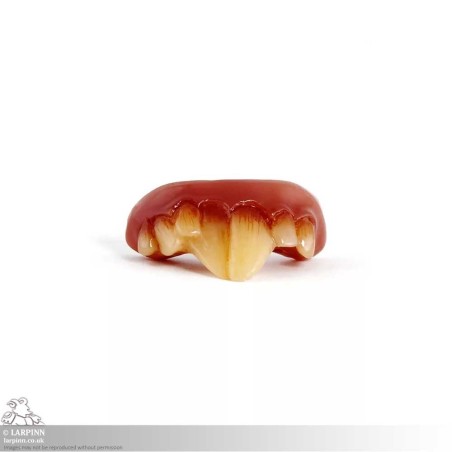 Rodent Tooth Component Rat Teeth - Dr Dent's Fixing Putty - Prosthetic - LARP Costume