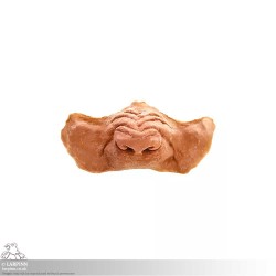 Werewolf Snout / Nose Prosthetic