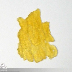 Briar Prosthetic - Bark Skin FX