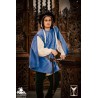 Velvet Surcoat - Blue - LARP Costumes