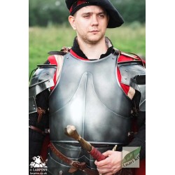 Milanese Armour - Polyurea Plate Armour - LARP Costume