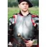 Milanese Armour - Polyurea Plate Armour - LARP Costume