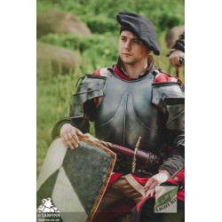 Milanese Armour - Polyurea Plate Armour - LARP Costume
