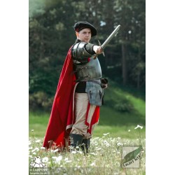 Milanese Armour - Polyurea Plate Armour - LARP Costume