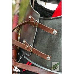 Milanese Armour - Polyurea Plate Armour - LARP Costume