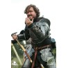 Captain Arm Protection - Polyurea Plate Armour - LARP Costume