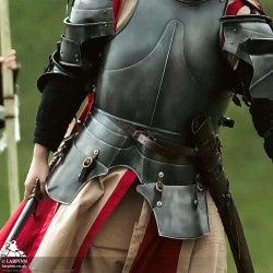 Faulds and Tassets - Polyurea Plate Armour - LARP Costume