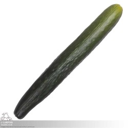 Cucumber - Coreless LARP Throwing Weapon