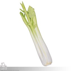 Celery - Coreless LARP Throwing Weapon