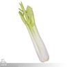 Celery - Coreless LARP Throwing Weapon