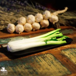 Celery - Coreless LARP Throwing Weapon