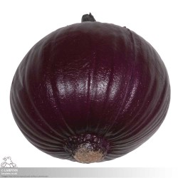 Purple Onion - Coreless LARP Throwing Weapon