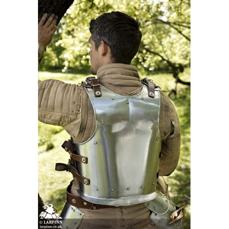 Warrior Back Plate