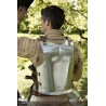 Warrior Back Plate