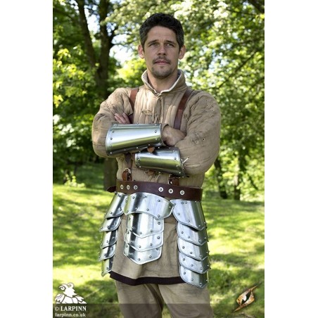 Warrior Upper Leg Armour