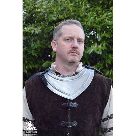 Adam Neck Plate - Plain Steel