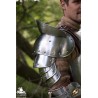 Giant Warrior Shoulder Plates