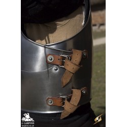 Milanese Armour - Polished Steel