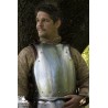 Warrior Metal Breast Plate Armour