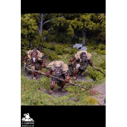 Ogre Hunters Regiment - KOW